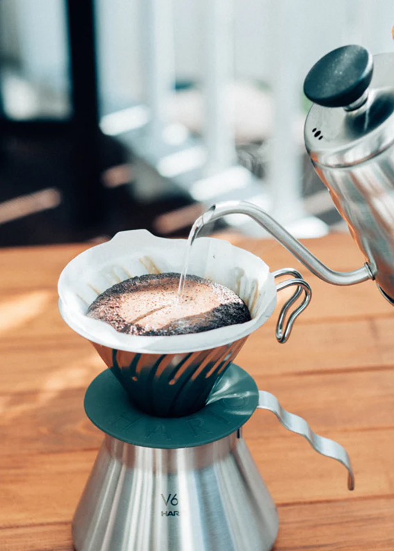 hario v60 bloom